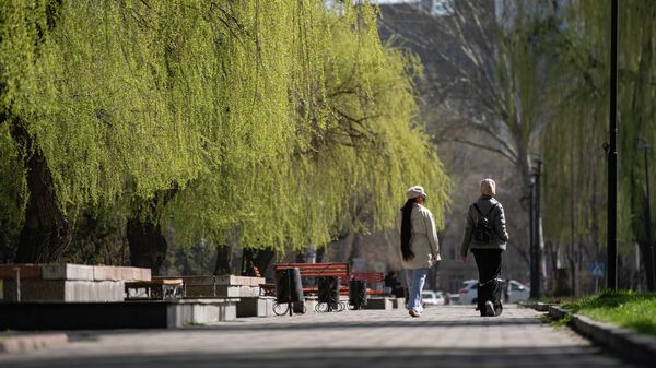 Девушки идут возле деревьев плакучей ивы на одном из улиц Бишкека. Архивное фото  - Sputnik Кыргызстан