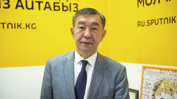 Вице-президент ОАО Кыргызиндустрия Жыргалбек Сагынбаев - Sputnik Кыргызстан