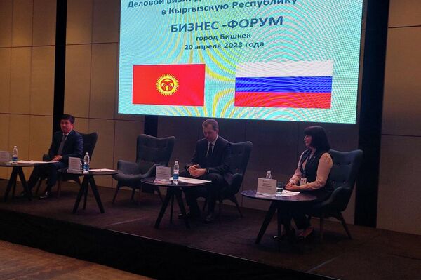 Он подчеркнул, что после вступления Кыргызстана в ЕАЭС сотрудничество между странами расширилось - Sputnik Кыргызстан