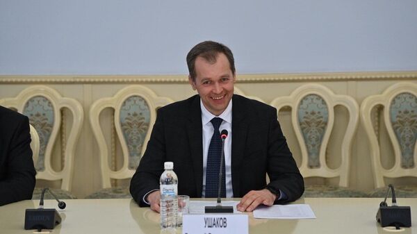 Россиянын Омск облусунун өкмөтүнүн төрагасынын биринчи орун басары Дмитрий Ушаков - Sputnik Кыргызстан