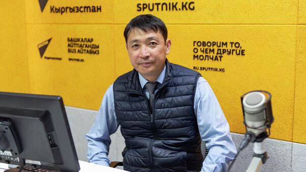 Политолог Бакытбек Жумагулов - Sputnik Кыргызстан