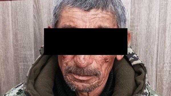 Задержание подозреваемого в убийстве семилетней девочки в Нарыне - Sputnik Кыргызстан
