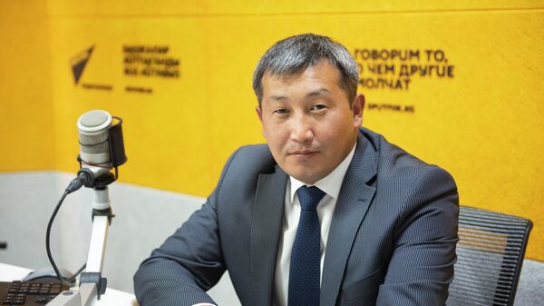 Бишкек мэринин турак жай-коммуналдык чарба боюнча орун басары Жыргалбек Шамыралиев - Sputnik Кыргызстан