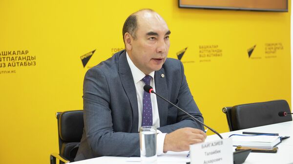 Глава Национального энергетического холдинга Талайбек Байгазиев - Sputnik Кыргызстан
