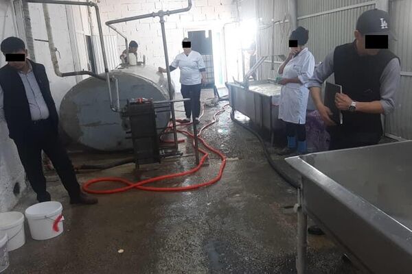 Госкомитет национальной безопасности КР выявил подпольные цеха по заготовке молока в Чуйской области - Sputnik Кыргызстан