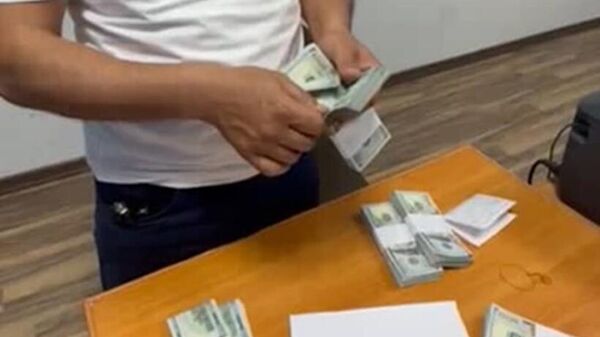 Попытка вывоза кыргызстанцем в Узбекистан $41 тыс долларов - Sputnik Кыргызстан