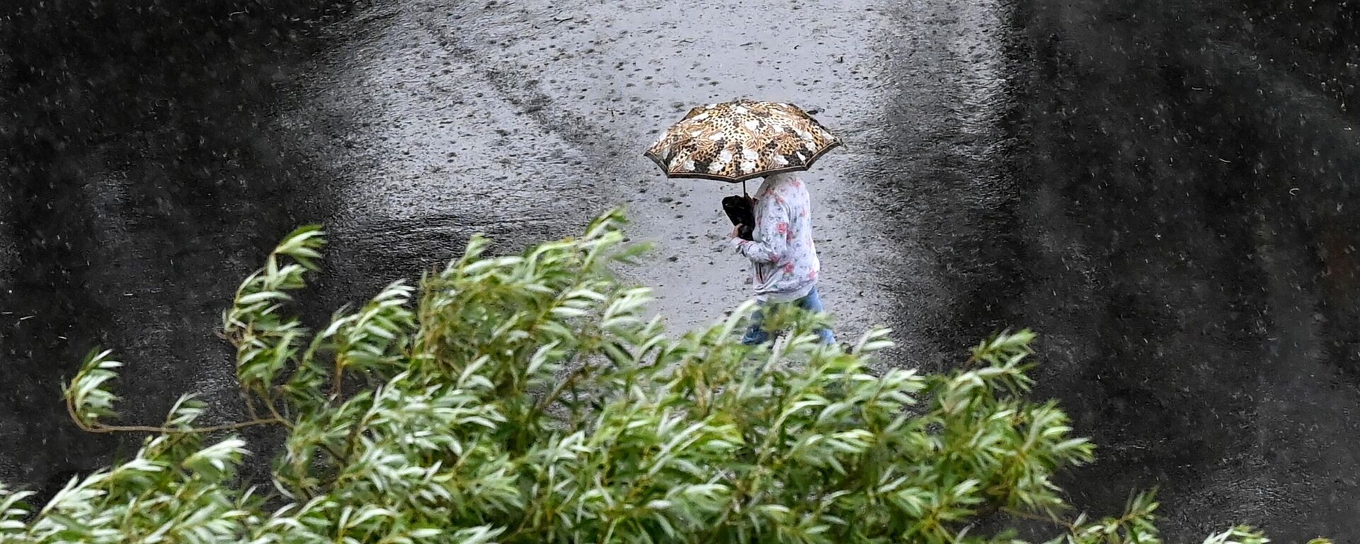 Женщина идет под зонтом во время дождя. Архивное фото - Sputnik Кыргызстан, 1920, 17.04.2024
