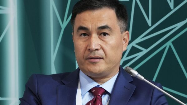 Директор одной из отечественных дистрибьюторских компаний Бакыт Ускенбаев - Sputnik Кыргызстан