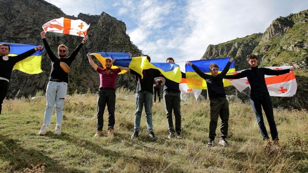 Активисты с флагами Украины и Грузии. Архивное фото - Sputnik Кыргызстан