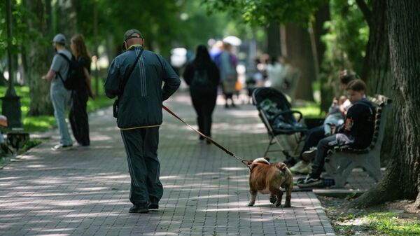 Погода в Бишкеке - Sputnik Кыргызстан