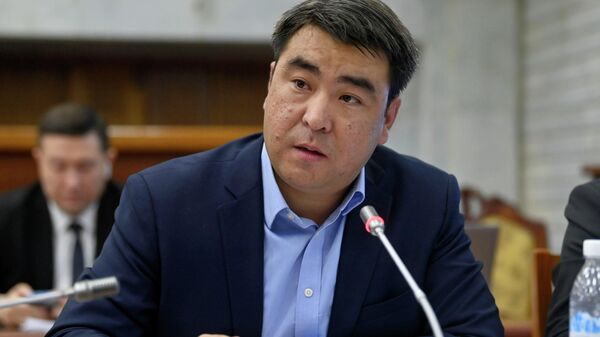 Жогорку Кеңештин депутаты Жанар Акаев - Sputnik Кыргызстан