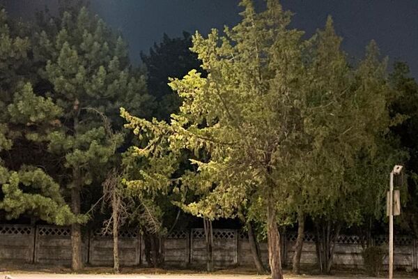 В темное время суток территория освещается проектором - Sputnik Кыргызстан