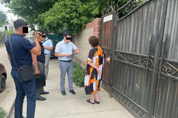 Во дворе у одной жительницы Бишкека обнаружено большое количество кустов конопли, за которыми тщательно ухаживали - Sputnik Кыргызстан