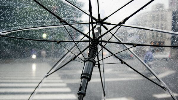 Зонт. Иллюстративное фото - Sputnik Кыргызстан