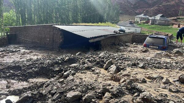 Паводок в Алае заблокировал дорогу - Sputnik Кыргызстан