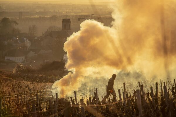 Фермер сжигает ветки виноградника (Франция) - Sputnik Кыргызстан