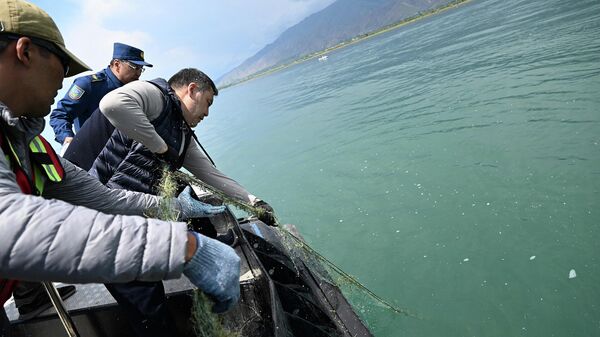 Работы по очистке озера Иссык-Куль  - Sputnik Кыргызстан
