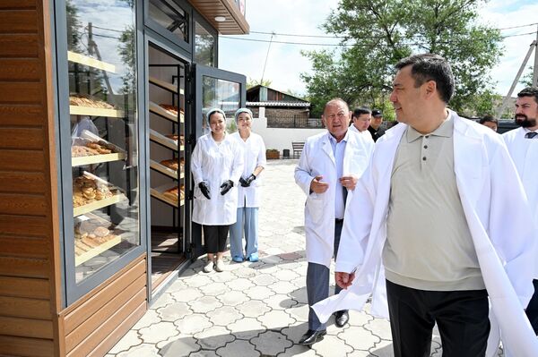 Жапаров ошондой эле Бишкек шаарынын мэриясына наабайкананын өндүрүштүк кубаттуулугун жогорулатуу маселесин иштеп чыгууну тапшырды - Sputnik Кыргызстан