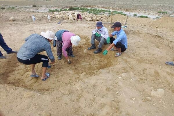 Археологические раскопки с 11 по 22 июня проводил Баткенский государственный университет - Sputnik Кыргызстан