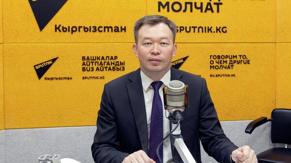 Директор Фонда зеленой энергетики КР Эмильбек Орозбаев - Sputnik Кыргызстан