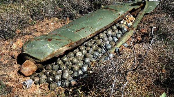 Неразорвавшаяся кассетная бомба. Архивное фото - Sputnik Кыргызстан