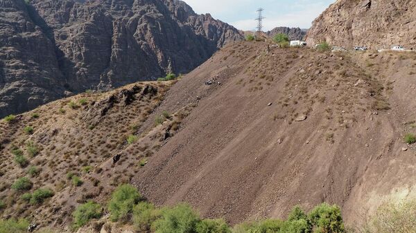 Иллюстративдик сүрөт - Sputnik Кыргызстан