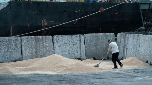 Рабочие загружают зерно в зерновом порту в Измаиле - Sputnik Кыргызстан