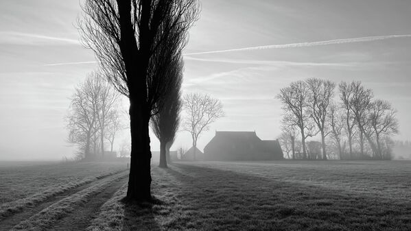 &quot;Раннее утро на ферме&quot; нидерландского фотографа Тони Энсинга (Ton Ensing) получило первое место в категории &quot;Пейзаж&quot; - Sputnik Кыргызстан