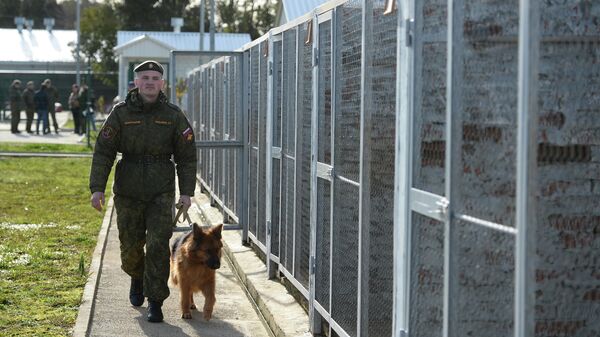 Тренировка служебных караульных собак на российской военной базе ЮВО в городе Гудаута в Абхазии. Архивное фото - Sputnik Кыргызстан