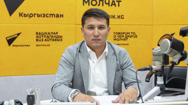 Начальник Управления политики бизнес-среды Министерства экономики и коммерции КР Муса Катаганов - Sputnik Кыргызстан