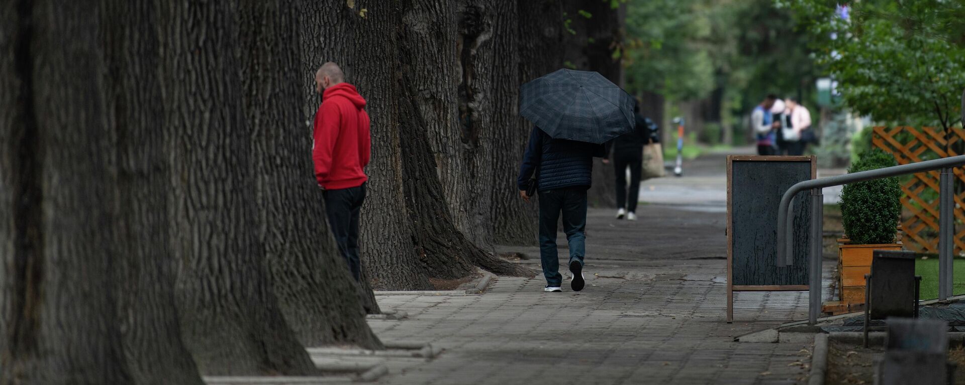 Люди на бульваре Эркиндик во время дождливой погоды в Бишкеке. Архивное фото - Sputnik Кыргызстан, 1920, 27.06.2024