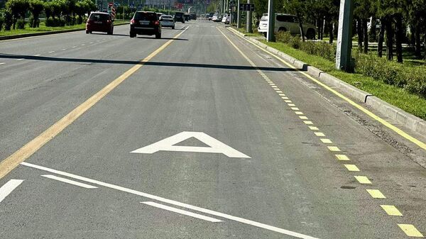 Коомдук транспорт үчүн тилке. Архив - Sputnik Кыргызстан