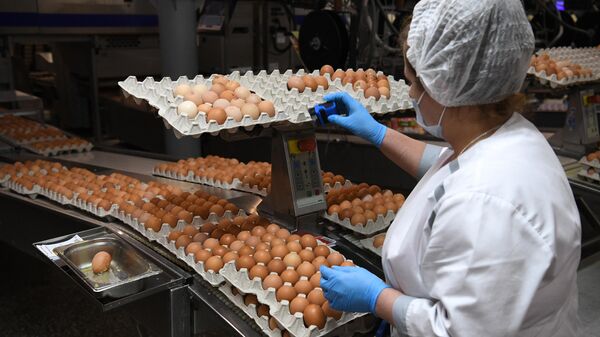 Производство яиц на птицефабрики. Архивное фото - Sputnik Кыргызстан