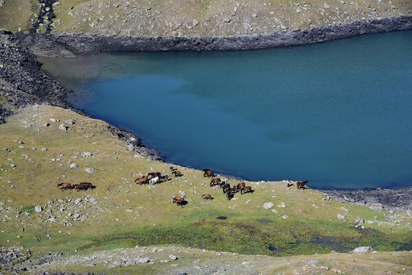 Лошади пасутся у Сулуу-Торских озер  - Sputnik Кыргызстан