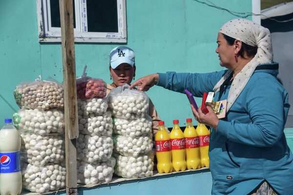 Продажа курутов и национальных напитков на автодороге Бишкек — Ош в Суусамырской долине - Sputnik Кыргызстан