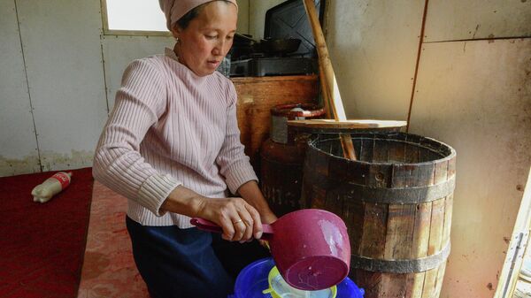 Сабадагы кымыз. Архив - Sputnik Кыргызстан