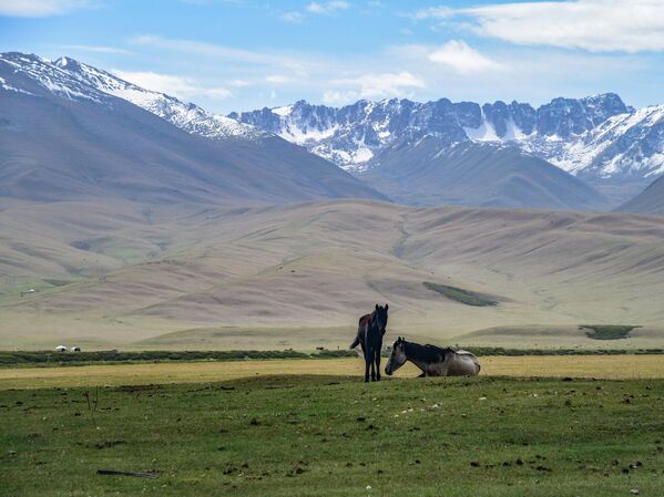 Стойбища кочевников в Суусамырской долине - Sputnik Кыргызстан