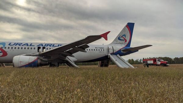 Самолет совершил вынужденную посадку в Новосибирской области - Sputnik Кыргызстан