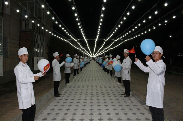 Нарын шаарынын 155 жылдык мааракесинде медайымдардын жана агартуучулардын аллеялары ачылды - Sputnik Кыргызстан