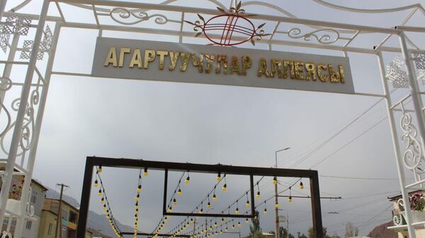 Нарында медайымдардын жана агартуучулардын аллеялары ачылды - Sputnik Кыргызстан