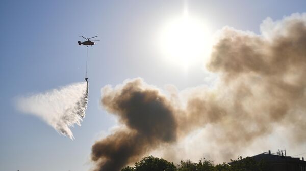 Пожарный вертолет. Архивное фото - Sputnik Кыргызстан