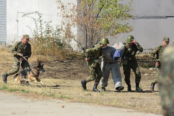 Отработка задержания &quot;террористов&quot; с помощью собак - Sputnik Кыргызстан