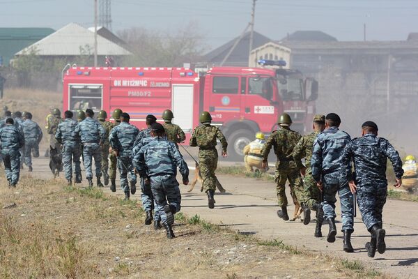 Военные с собаками во время учений  - Sputnik Кыргызстан