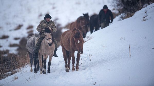 Мужчины с лошадьми в горах Чуйской области. Архивное фото - Sputnik Кыргызстан