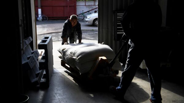Рабочие перевозят мешки с мукой. Архивное фото - Sputnik Кыргызстан