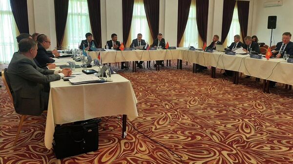 43-е заседание Объединенной коллегии таможенных служб государств — членов ЕАЭС в Иссык-Куле - Sputnik Кыргызстан