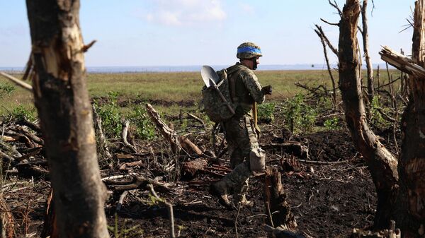 Украинский военнослужащий идет сквозь сломанные деревья в нескольких километрах от Андреевки - Sputnik Кыргызстан