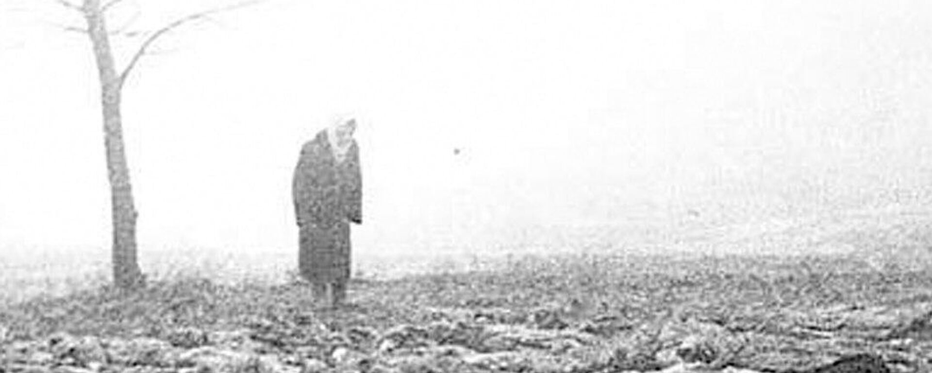 Эки күндө 33 миң кишини атып салышкан. Фашисттердин Бабий Ярдагы кыргыны - Sputnik Кыргызстан, 1920, 29.09.2023
