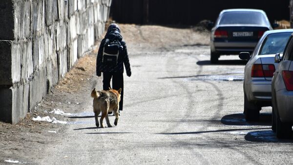 Школьник и бродячая собака идут по дороге - Sputnik Кыргызстан