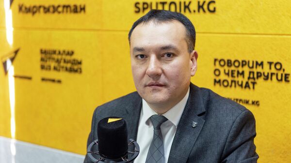 Президентке караштуу коррупцияга каршы ишкердик кеңешинин мүчөсү Ялкун Даутов - Sputnik Кыргызстан